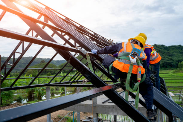Roof Gutter Cleaning in Huntley, IL
