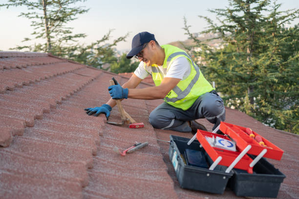 Best Roof Repair Services  in Huntley, IL